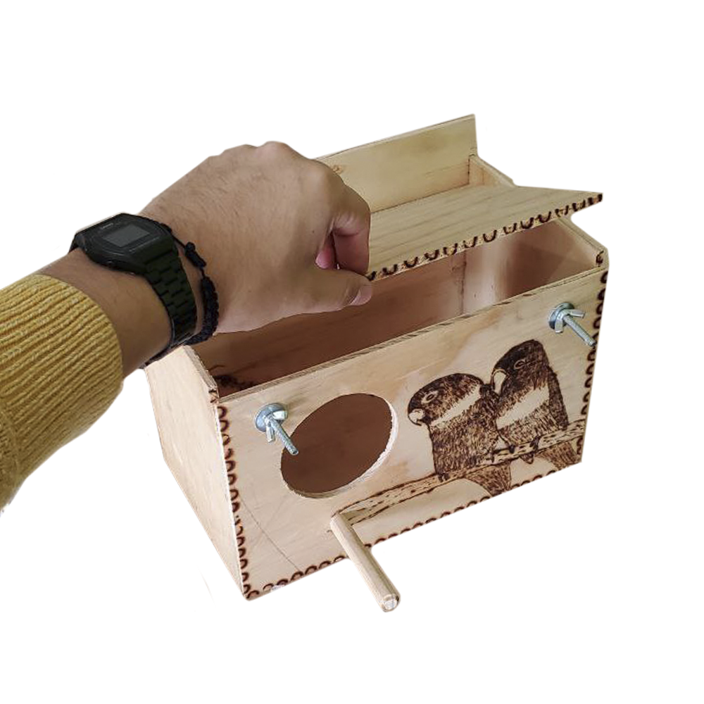 modeloAgapornis2 modeloAgapornis2