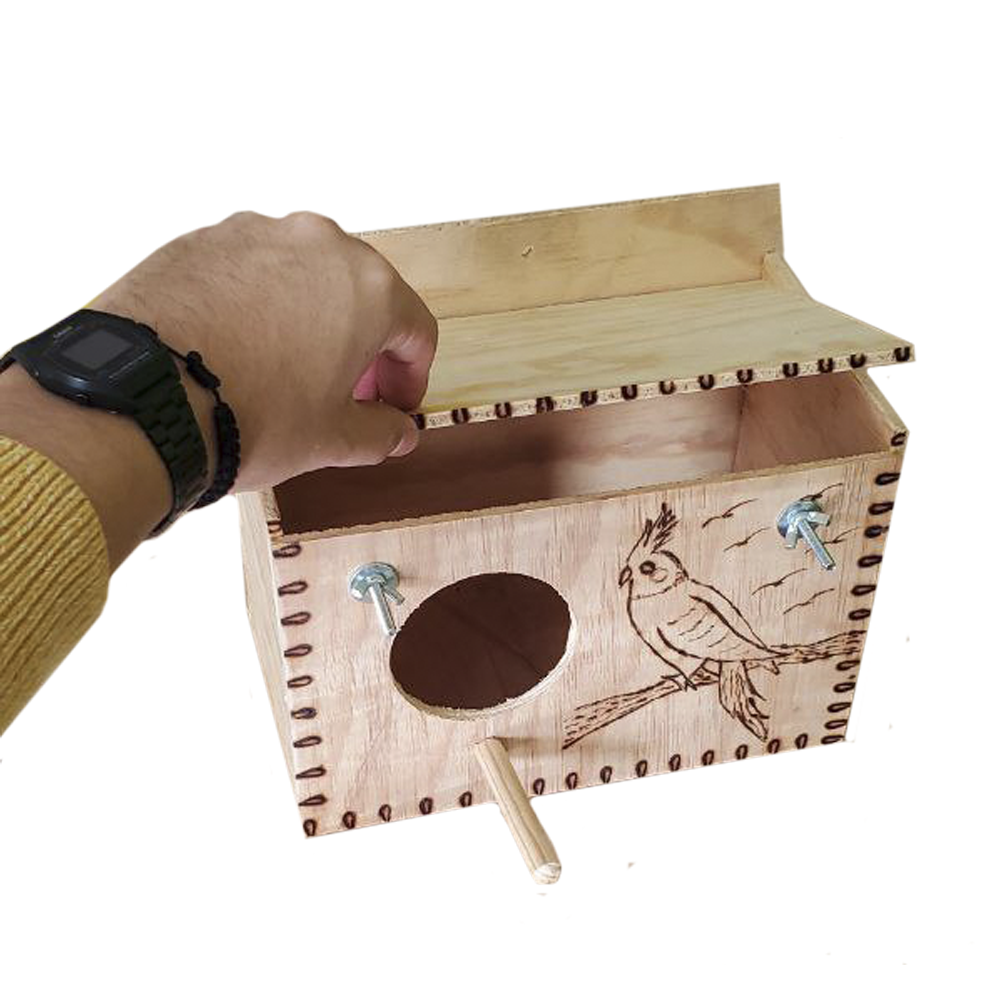 modeloNinfa2_2 modeloNinfa2_2